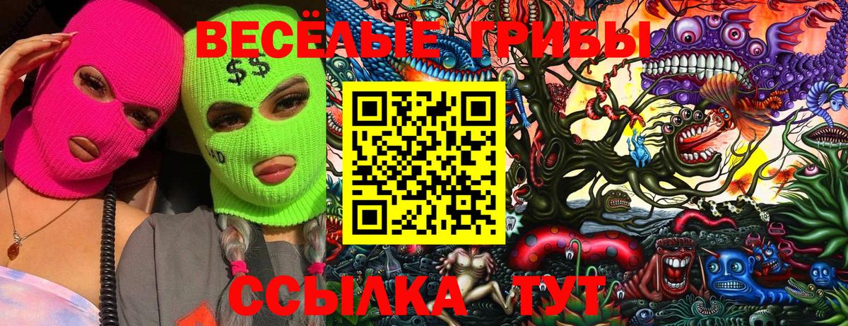 Псилоцибиновые грибы Psilocybine cubensis  где можно купить   Приморско-Ахтарск  Вход с VPN  Галлюциногенные грибы Psilocybe 